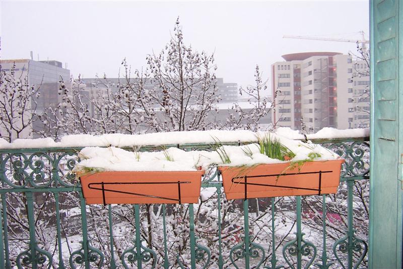 05nieve.jpg