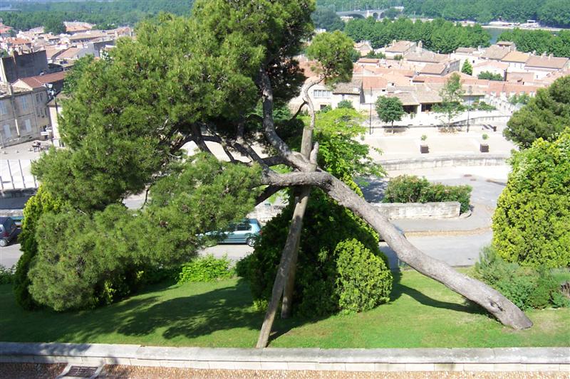 provence04.jpg