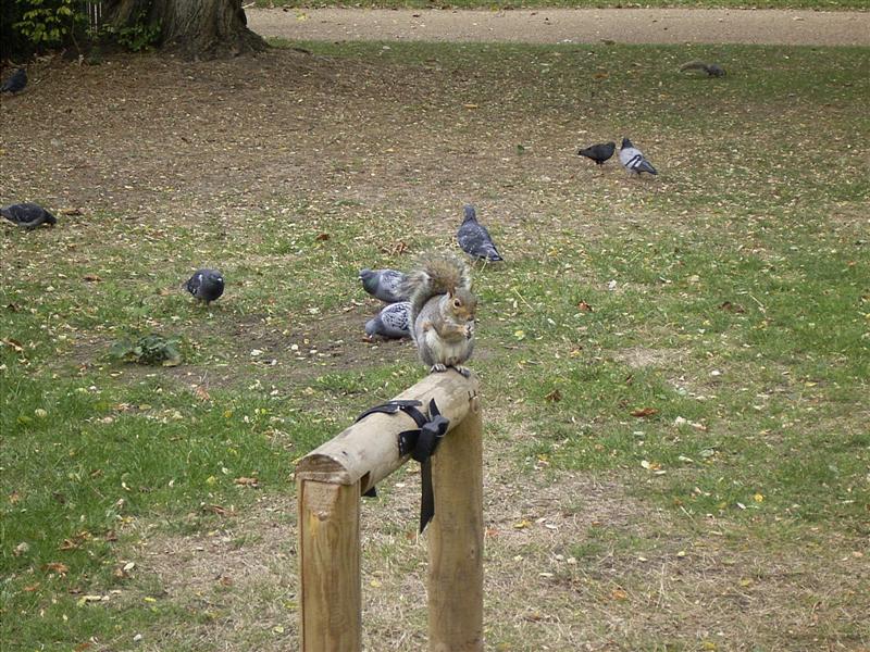 20inglaterra.jpg