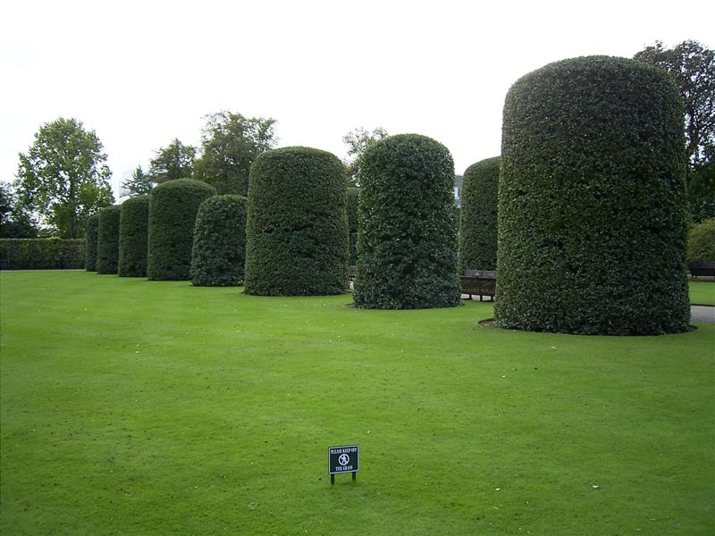 21inglaterra.jpg
