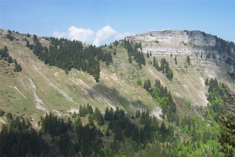 chartreuse04.jpg