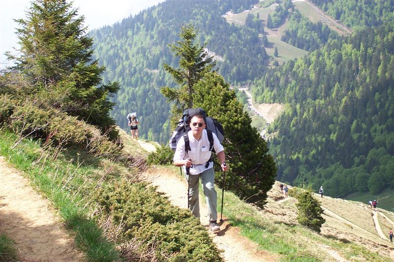 chartreuse06.jpg
