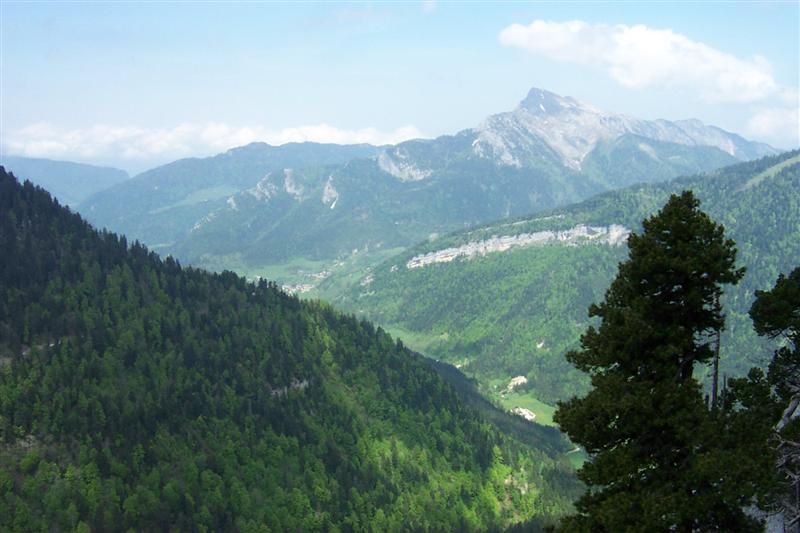 chartreuse09.jpg
