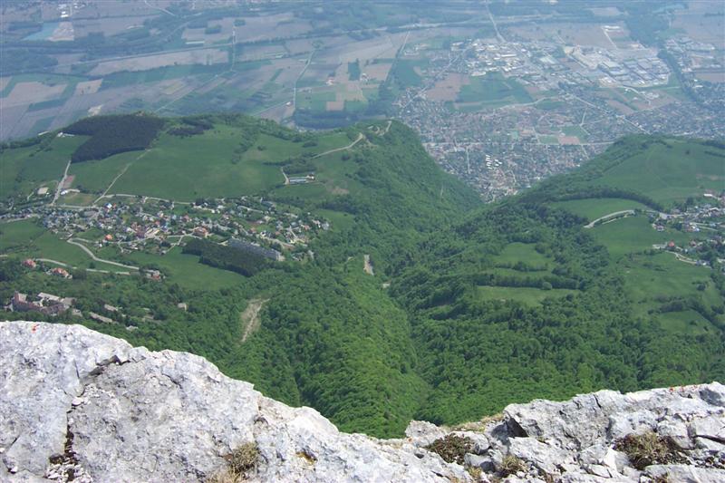 chartreuse13b.jpg
