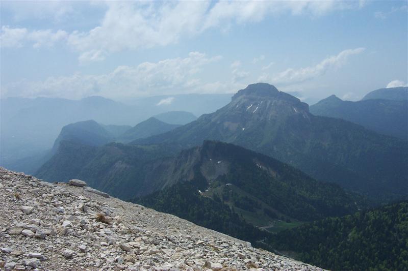 chartreuse15.jpg