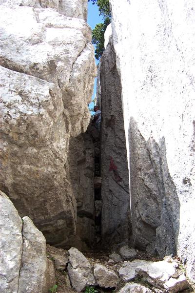 chartreuse19.jpg