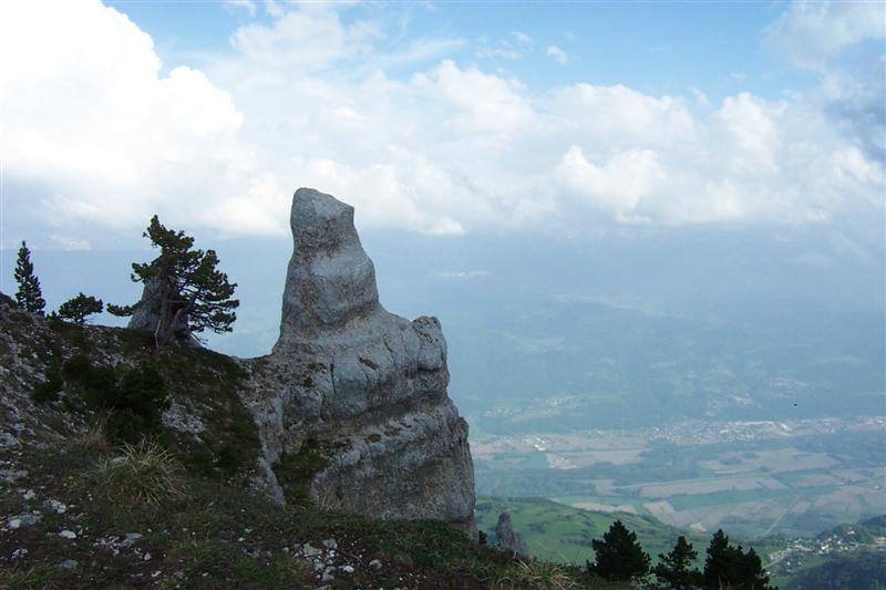chartreuse22.jpg