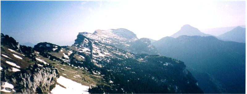 chartreuse22b.jpg