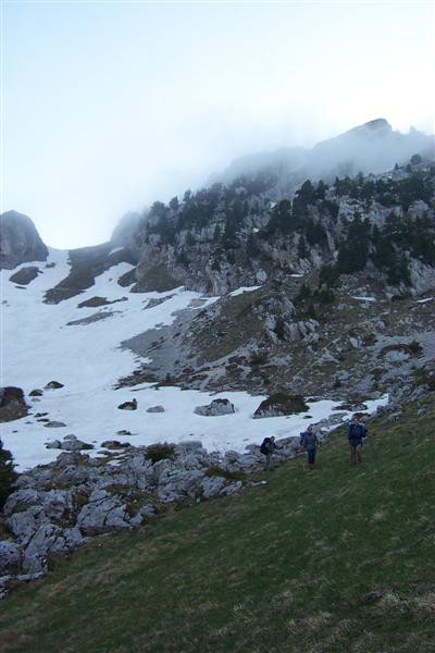 chartreuse23.jpg