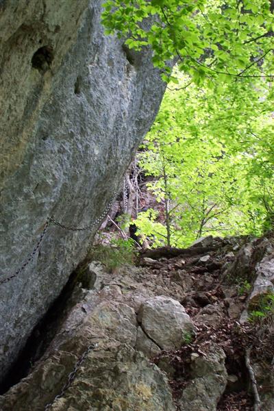 chartreuse36.jpg