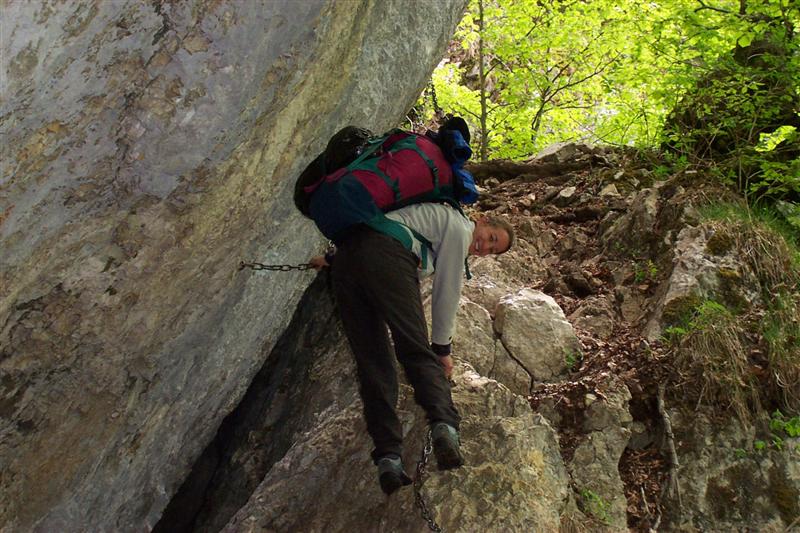 chartreuse37.jpg