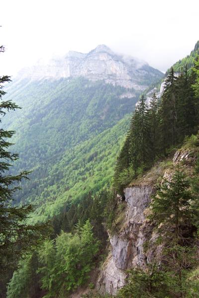 chartreuse47.jpg