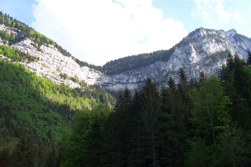 chartreuse65.jpg