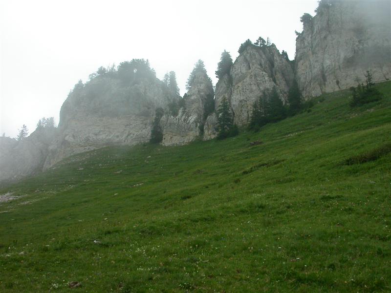 04gransure.jpg