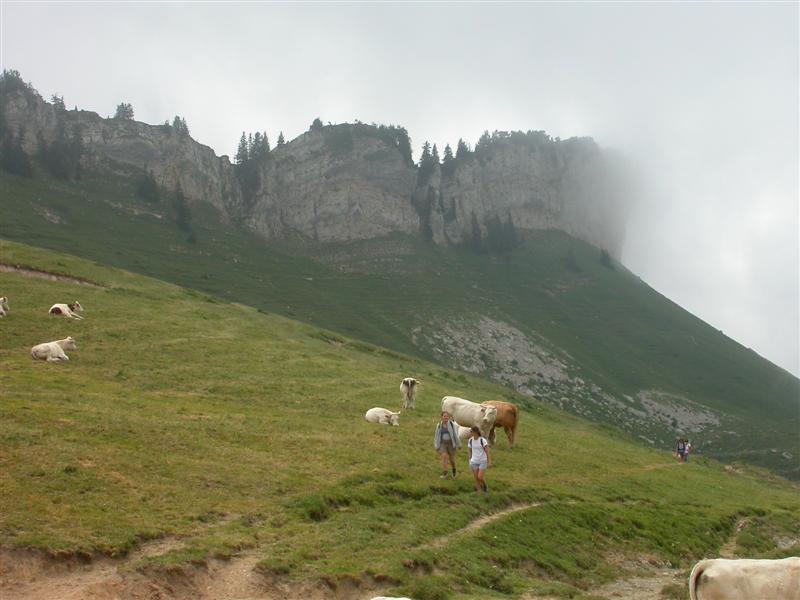 05gransure.jpg