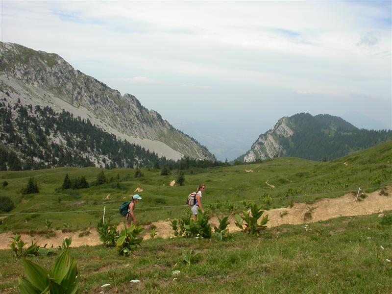 07gransure.jpg