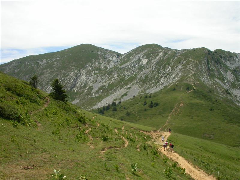 08gransure.jpg