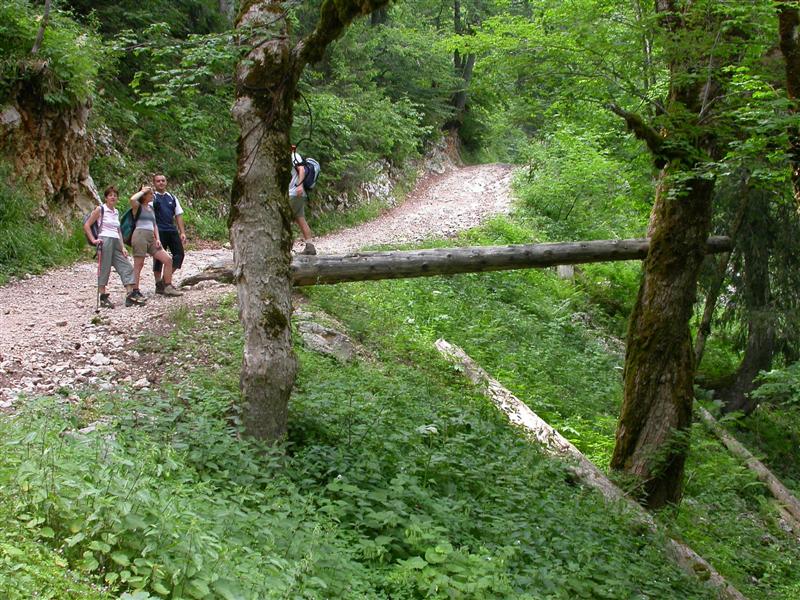 09gransure.jpg