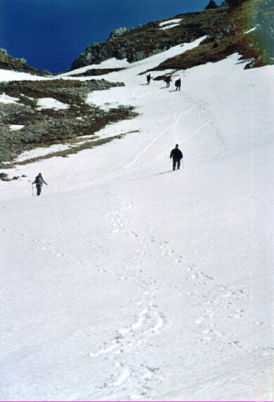 19veymont.jpg