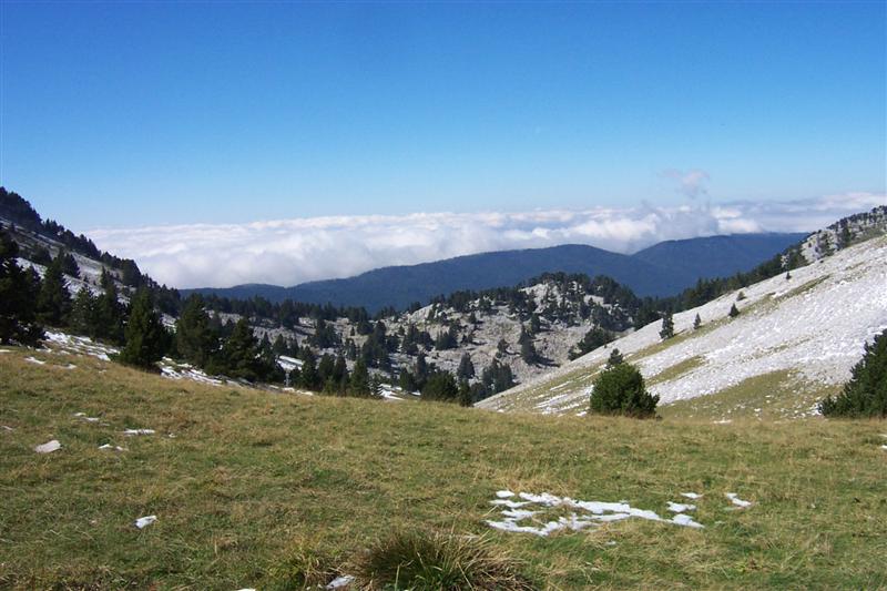03balme.jpg