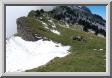 05balme.jpg