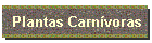 Plantas Carnvoras